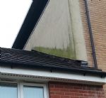 New Broughton Pigeon Problem